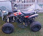 Quad Bashan 250